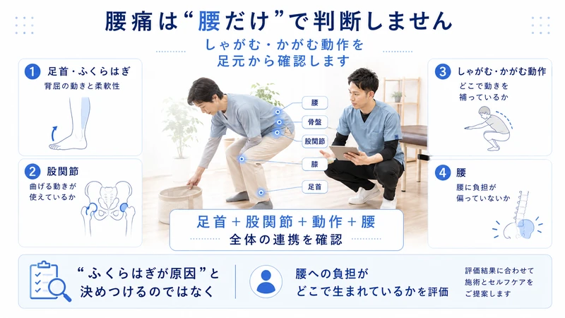 腰痛に対して足首股関節しゃがみ動作腰への負担を理学療法士が全身評価する図解
