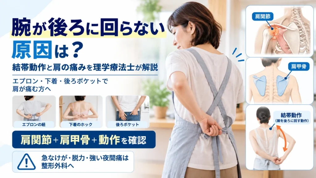 腕が後ろに回らない結帯動作と肩関節肩甲骨の関係を示す画像