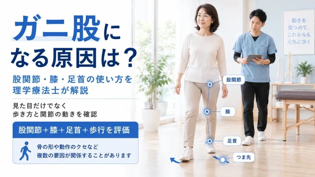 ガニ股になる原因を股関節膝足首と歩き方から理学療法士が解説する画像