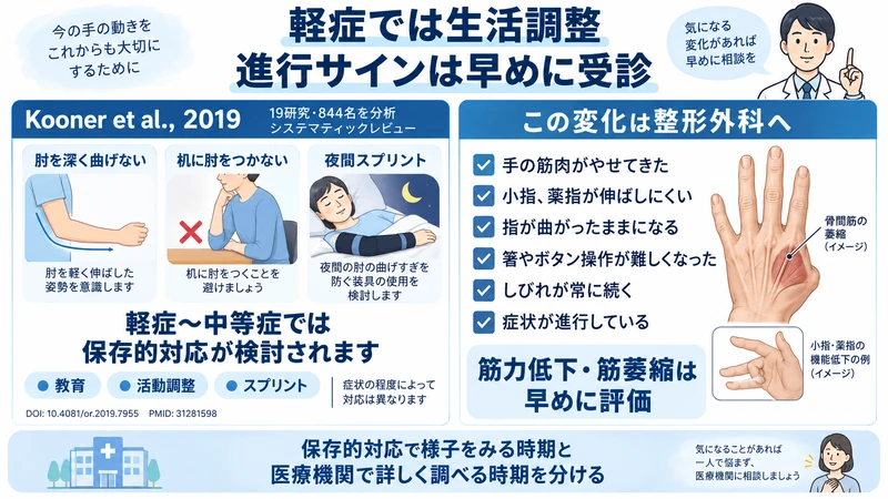 肘部管症候群の保存的対応に関する研究と筋萎縮や指の変形など受診サインを示す図解