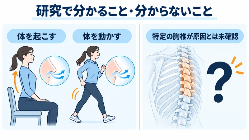 体を起こすことや運動と鼻の通りの研究および特定の胸椎との関係の限界を示す図解