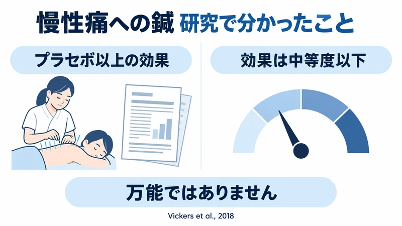 慢性痛に対する鍼の有効性と効果の大きさの限界を示した研究図解