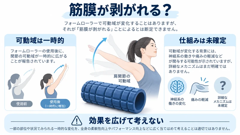フォームローラーによる一時的な可動域変化と筋膜が剥がれる説の限界を示す研究図解