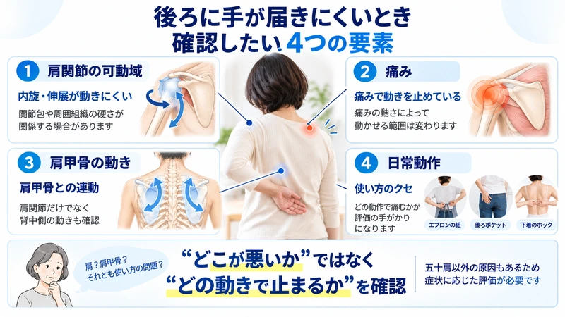 腕を後ろに回しにくいときの肩関節可動域痛み肩甲骨日常動作の4つの確認ポイント