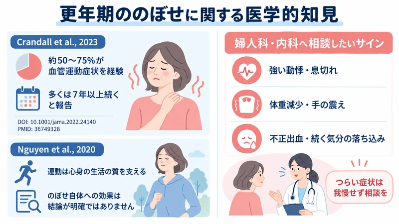 更年期の血管運動症状と運動に関する研究および婦人科内科へ相談する目安の図解
