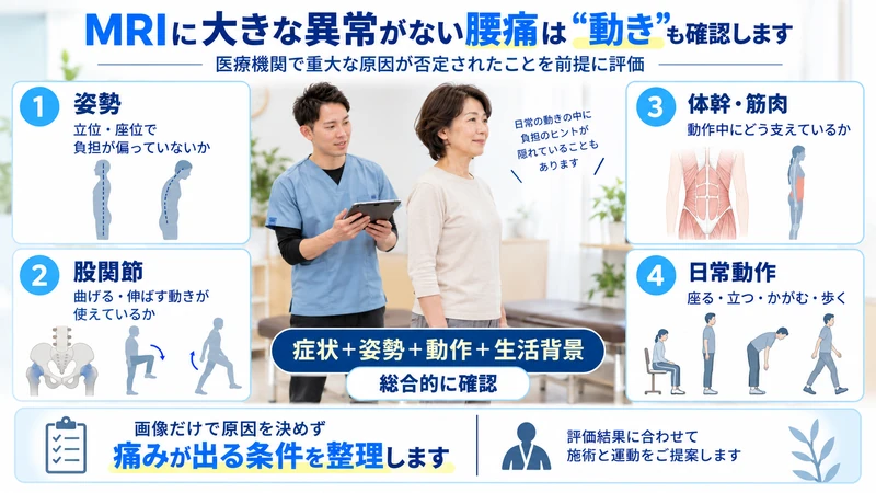 MRIで重大な異常がない腰痛に対して姿勢股関節体幹日常動作を理学療法士が評価する図解
