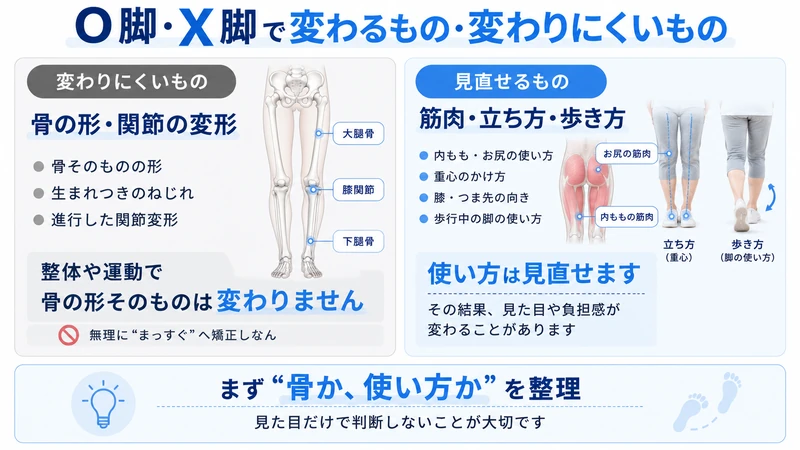 O脚X脚で変わりにくい骨の形と見直せる筋肉立ち方歩き方を比較した図解