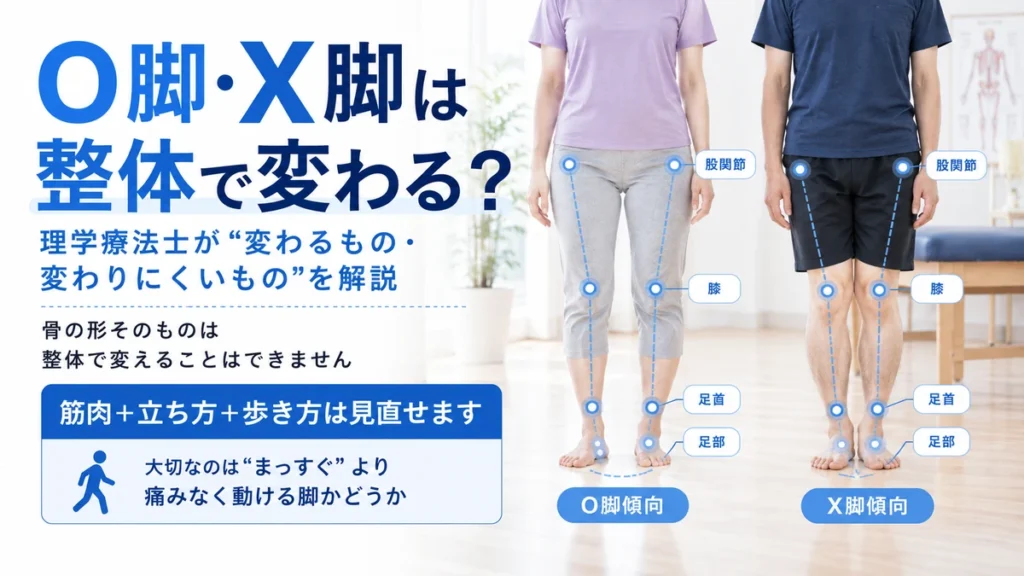 O脚X脚は整体で変わるのか骨の形と筋肉立ち方歩き方の違いを解説する画像