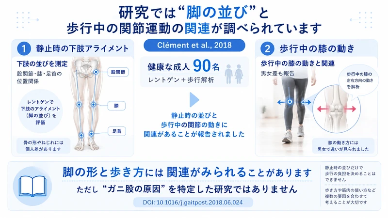 健康成人90名で下肢アライメントと歩行中の膝運動の関連を調べた研究図解