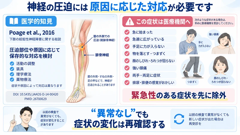 末梢神経の圧迫に対する保存的対応の研究としびれで医療機関を優先するサインを示す図解
