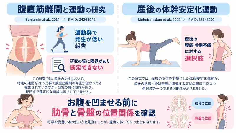 産後の腹直筋離開と体幹安定化運動に関する研究を示した医療教育図解