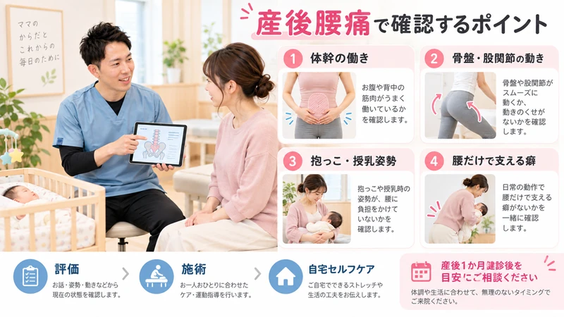 産後腰痛で体幹骨盤股関節育児姿勢と腰の使い方を理学療法士が確認する画像