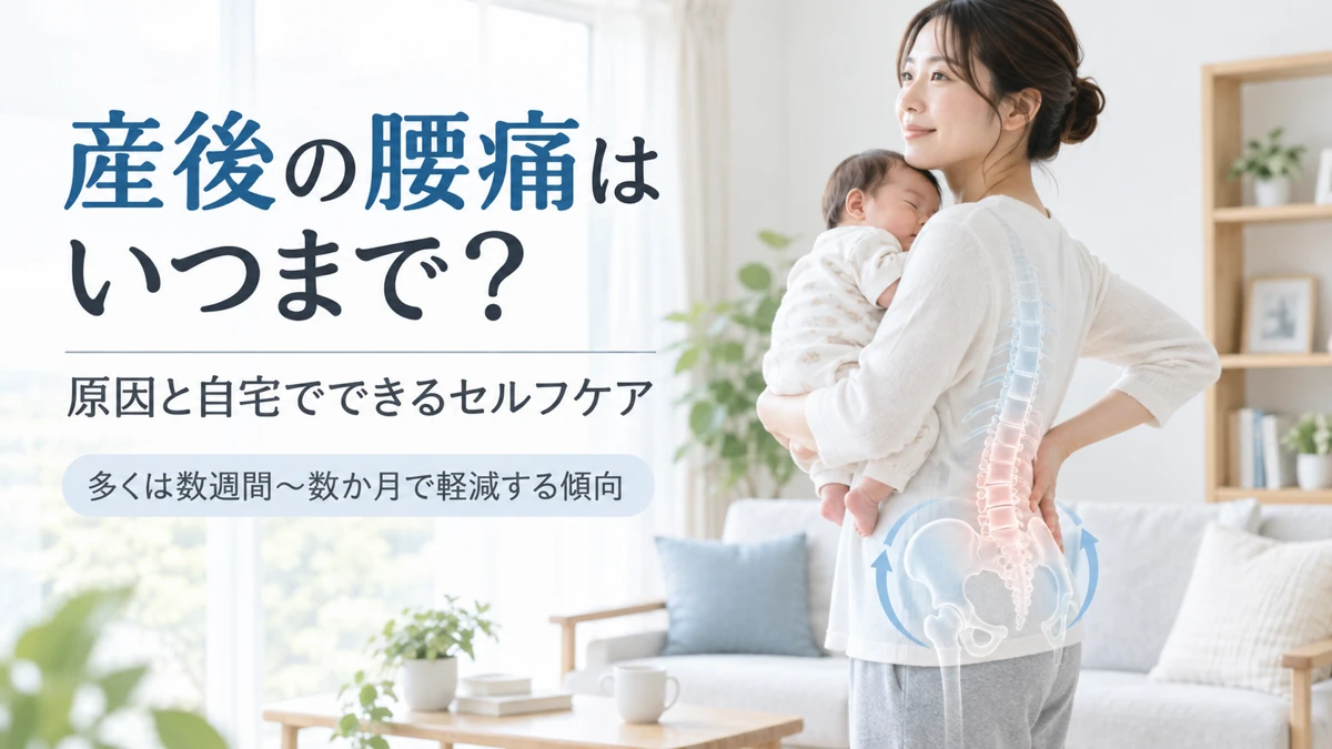 産後の腰痛が続く期間と腰や骨盤への負担を示した医療教育画像