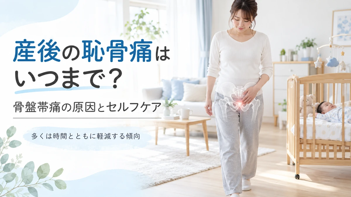 産後の恥骨痛と骨盤前方の恥骨結合を示した医療教育画像