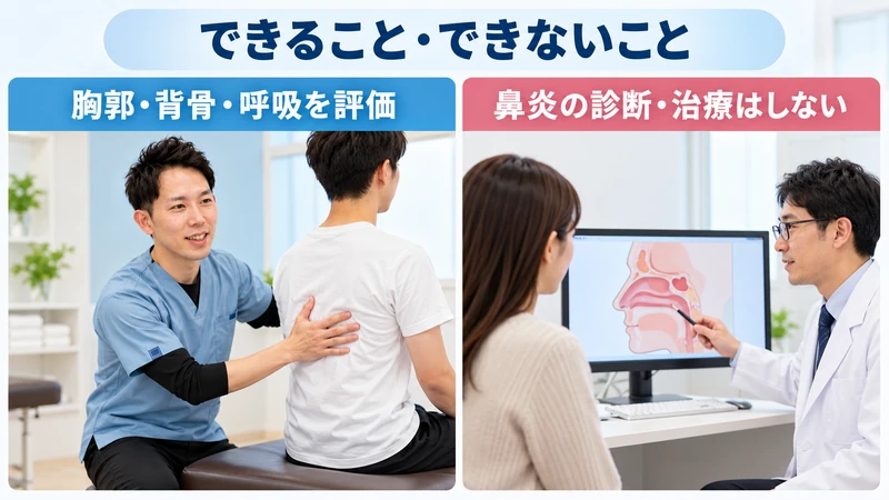 整体で確認する胸郭や背骨の動きと耳鼻咽喉科へ相談する鼻炎症状の範囲