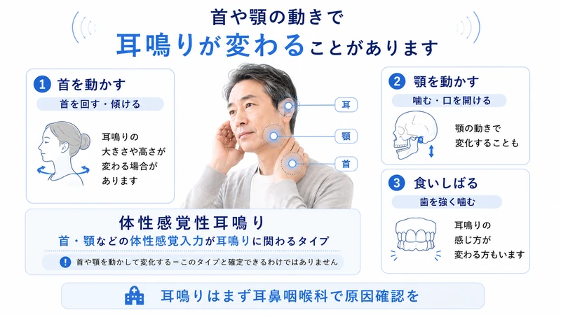 首や顎の動きで耳鳴りが変化する体性感覚性耳鳴りの特徴を示した図解