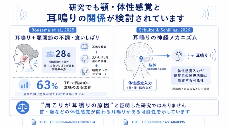 顎関節へのアプローチと体性感覚入力が耳鳴りに関わる可能性を示した研究図解