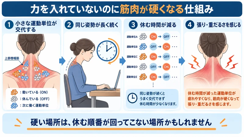 同じ姿勢で運動単位が休みにくくなり肩の張りを感じる仕組みの図解