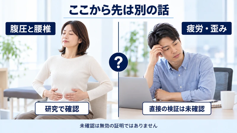 腹圧と腰椎の関係は示されているが疲労との関係は未検証であることを示す図解