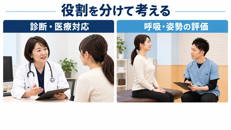 胃の症状を扱う医療機関と呼吸や姿勢を評価する整体の役割の違い